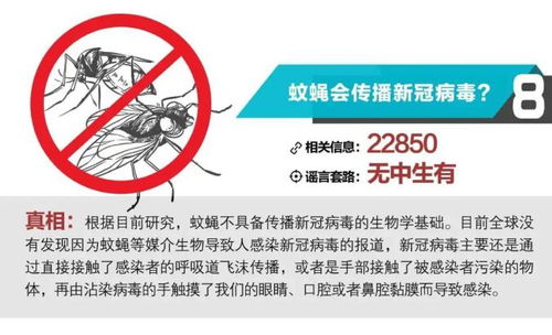 预包装食品与新冠病毒传播 风险分析与科学防护